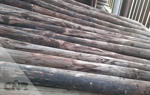 Foto van Houten palen