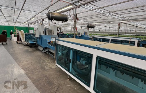 Foto van Boslijn TulipStar XL-Havatec
