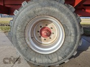 Foto van Kipper -Beco