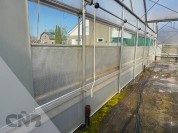 Foto van Foliekas-Rovero