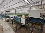 Foto van Boslijn TulipStar XL-Havatec